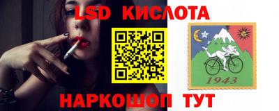 крисы Боровичи