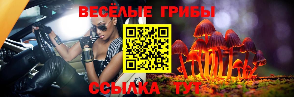закладка  Вход с VPN  Самара  Псилоцибиновые грибы Cubensis 
